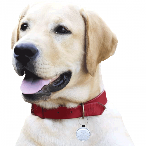 Round Pet ID Tag