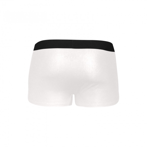 Men's Boxer Briefs with Fly (Model L49)