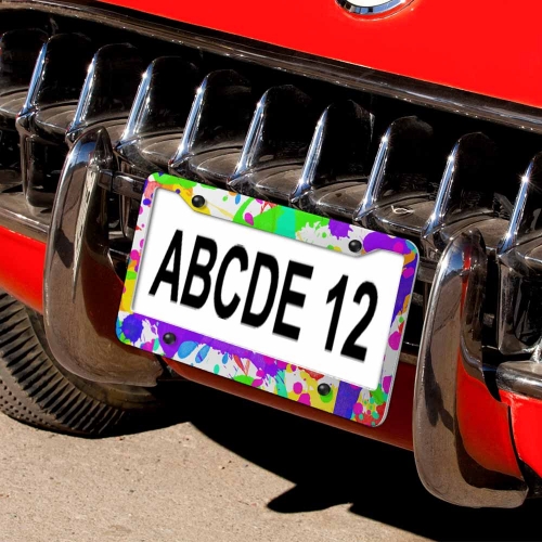 License Plate Frame (4 Round Holes)