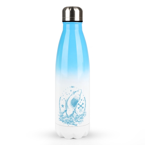 Gradient Stainless Steel Cola Water Bottle