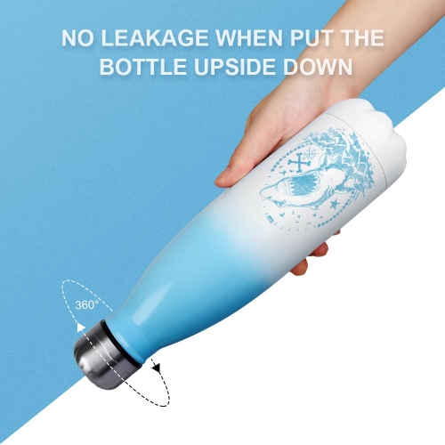 Gradient Stainless Steel Cola Water Bottle