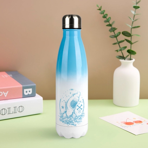 Gradient Stainless Steel Cola Water Bottle