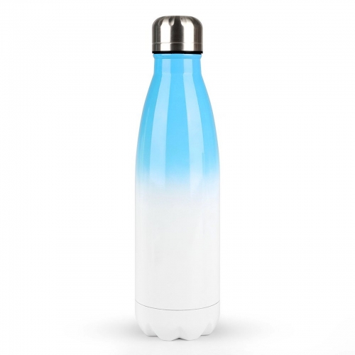 Gradient Stainless Steel Cola Water Bottle
