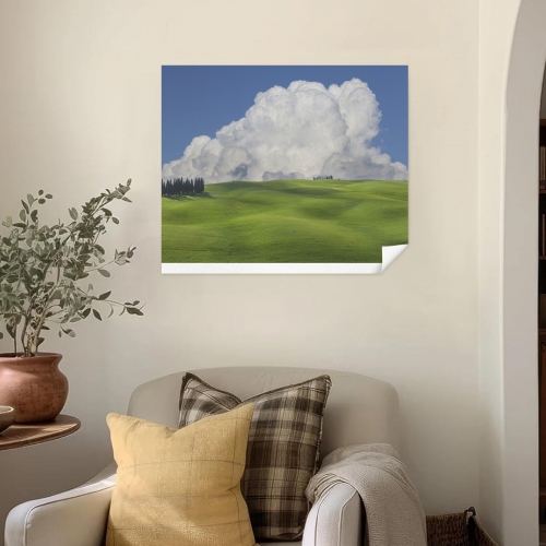 Art Print 20×16inch