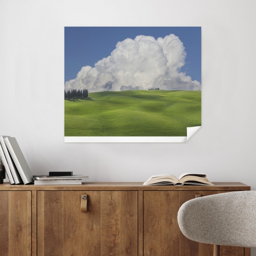 Art Print 20×16inch