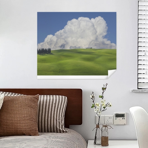 Art Print 30×24inch