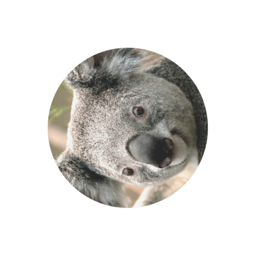 Koala Animal Round Mousepad