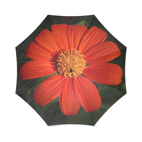 Mexican Sunflower by Dee Flouton Foldable Umbrella (Model U01)