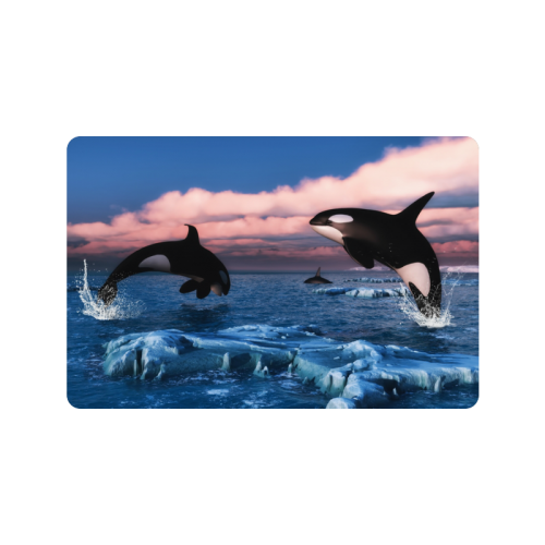 Killer Whales In The Arctic Ocean