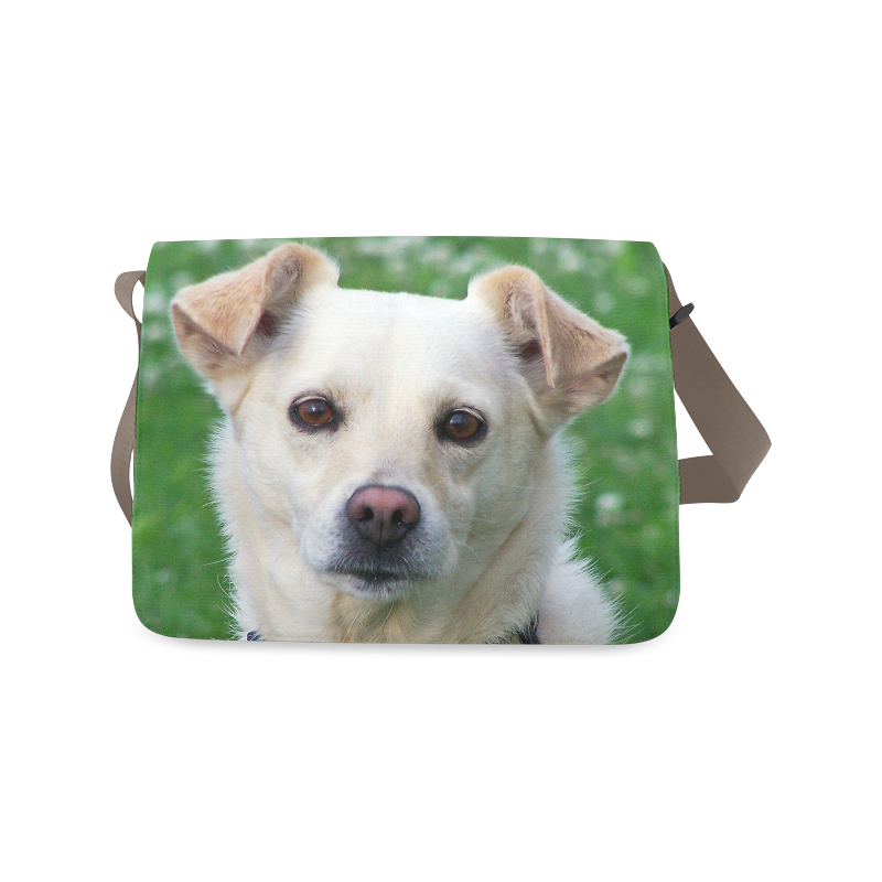 dog face bag