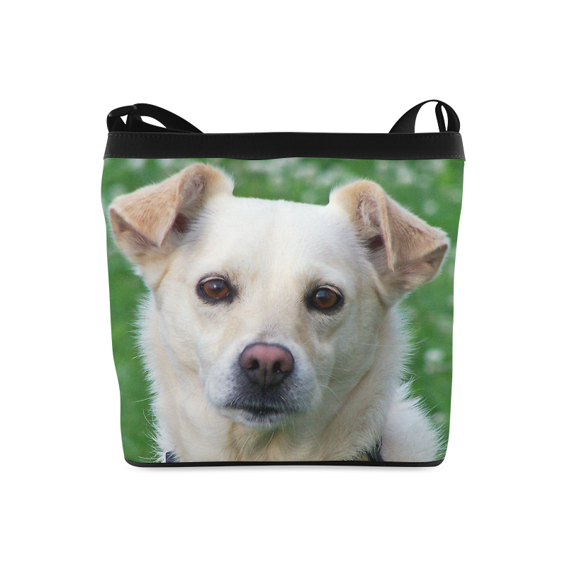 dog face bag