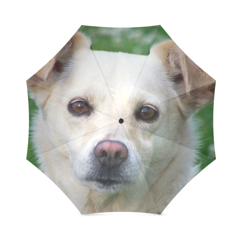 Dog face close-up Foldable Umbrella (Model U01)