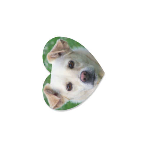 Dog face close-up Heart Coaster