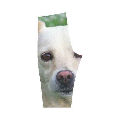 Dog face close-up Hestia Cropped Leggings (Model L03)