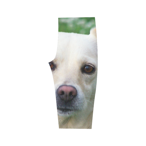 Dog face close-up Hestia Cropped Leggings (Model L03)