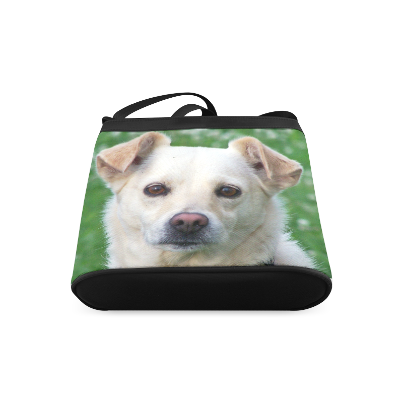 dog face bag