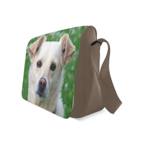 dog face bag