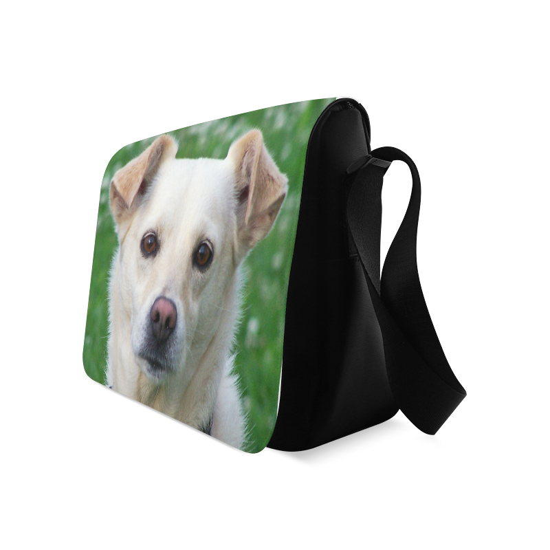 dog face bag