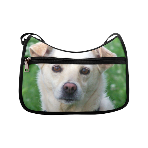 Dog face close-up Crossbody Bags (Model 1616)