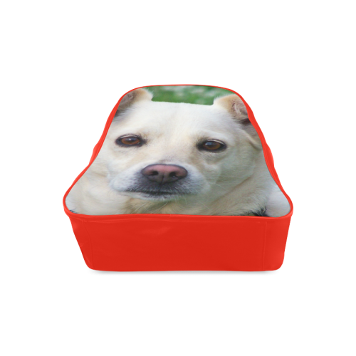 Great Custom Pet Face Socks Canada Photos