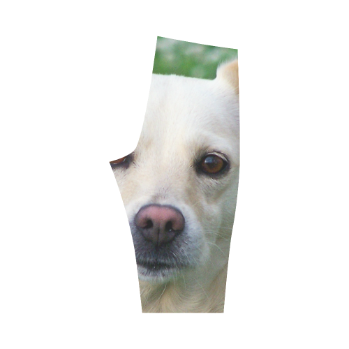 Dog face close-up Hestia Cropped Leggings (Model L03)