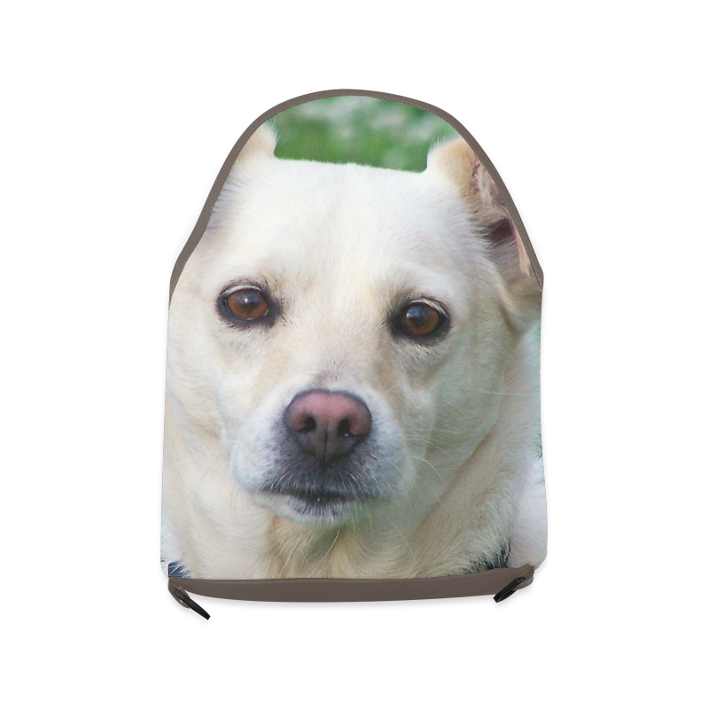 Dog face closeup Crossbody Bag (Model 1631) ID D166545