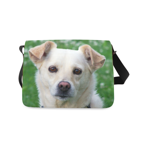 dog face bag