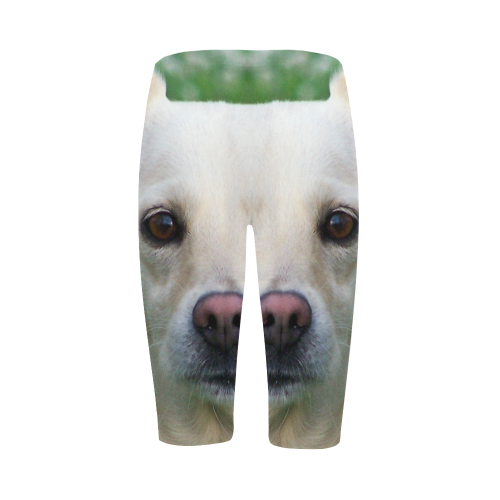 Dog face close-up Hestia Cropped Leggings (Model L03)