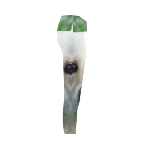 Dog face close-up Capri Legging (Model L02)