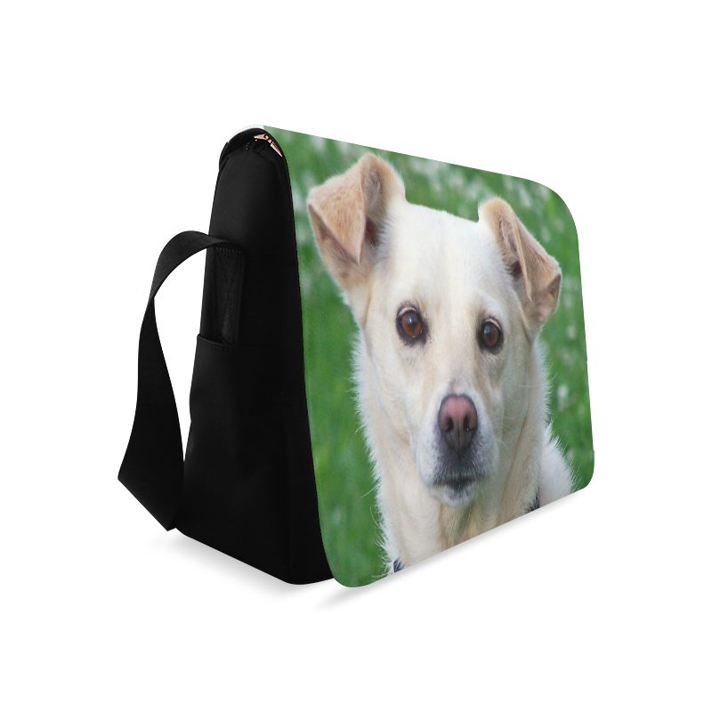 dog face bag