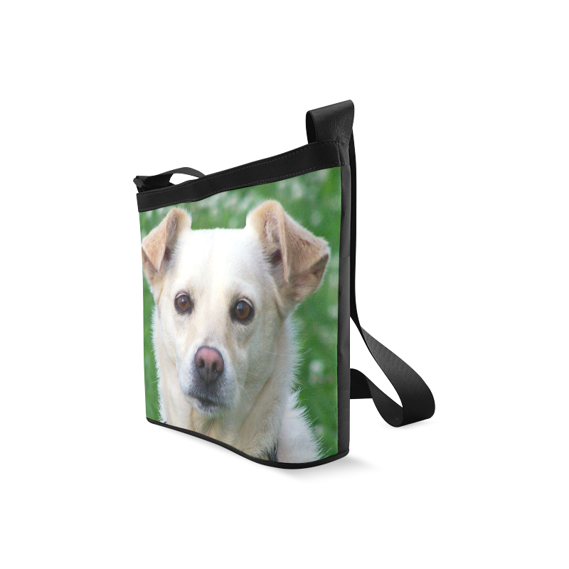 Dog face closeup Crossbody Bags (Model 1613) ID D166542