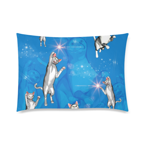 pllaying cats Custom Zippered Pillow Case 20"x30"(Twin Sides)