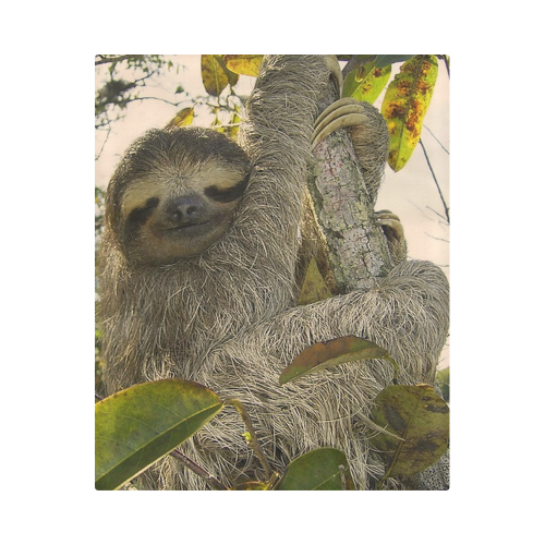 Awesome Animal - Sloth Duvet Cover 86"x70" ( All-over-print)