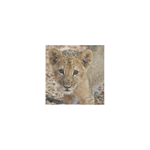 BABY lion Square Towel 13“x13”