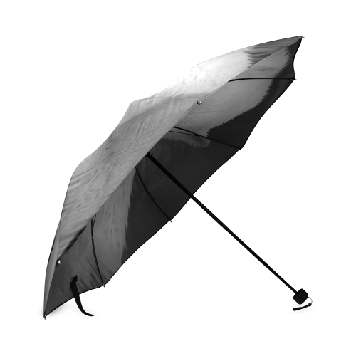 Polar Baer Foldable Umbrella (Model U01)