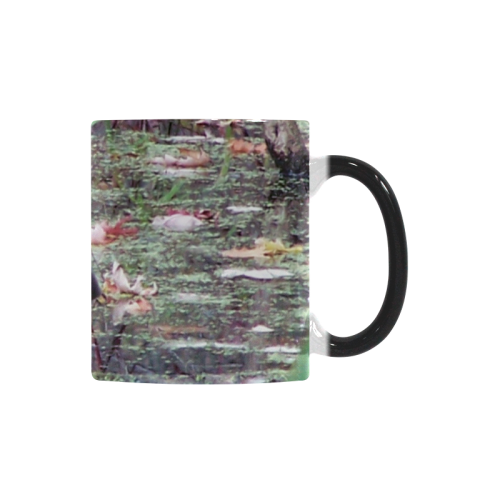 Mallard Drake Custom Morphing Mug