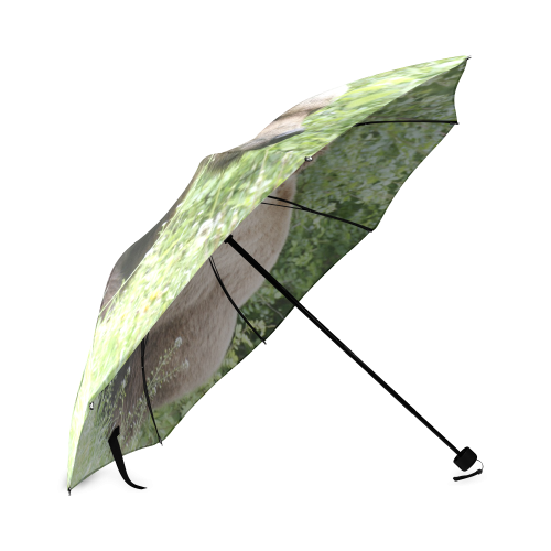 Baer Foldable Umbrella (Model U01)