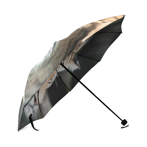tiger 08 Foldable Umbrella (Model U01)