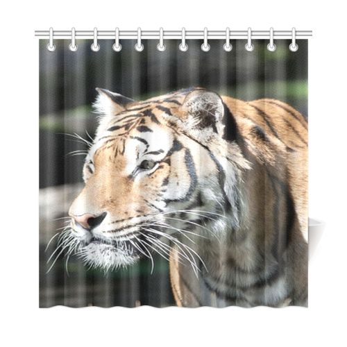 tiger 08 Shower Curtain 72"x72"