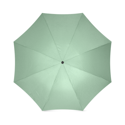 Hemlock Color Accent Foldable Umbrella (Model U01)