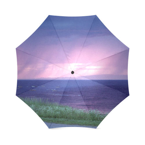 Purple Rain Foldable Umbrella (Model U01)