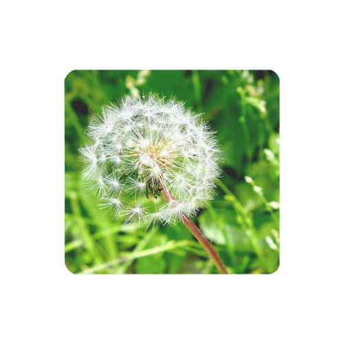 Dandelion Women's Clutch Wallet (Model 1637)