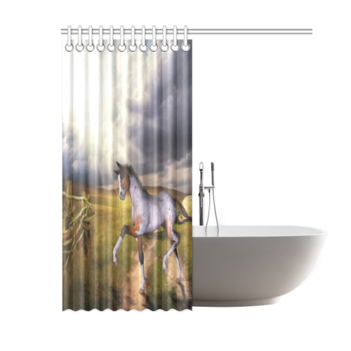 The Little cute Foal Shower Curtain 60"x72"