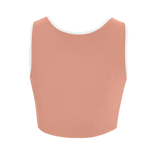 Canyon Sunset Color Accent Women's Crop Top (Model T42)