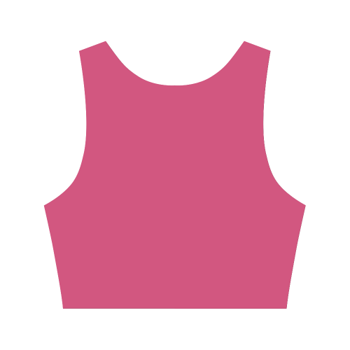 Raspberry Sorbet Color Accent Women's Crop Top (Model T42)