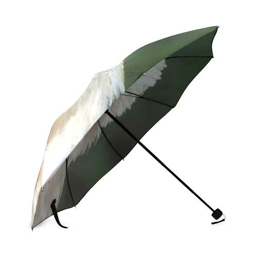 Eagle_2015_0101 Foldable Umbrella (Model U01)