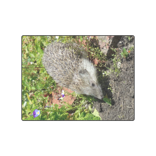 hedgehog- cute visit to the garden Blanket 50"x60"