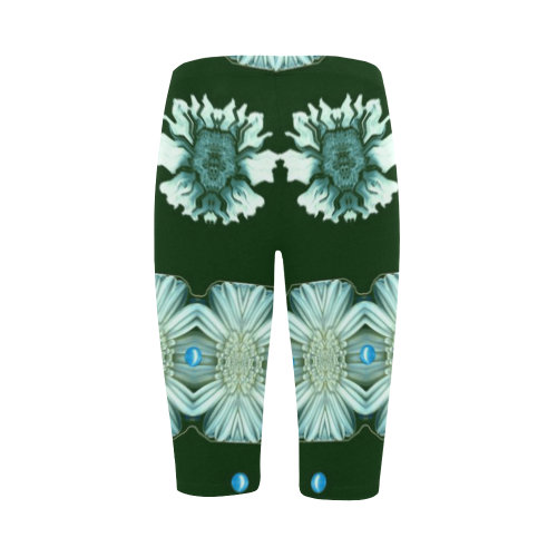 Floral and flowers in harmony Hestia Cropped Leggings (Model L03)
