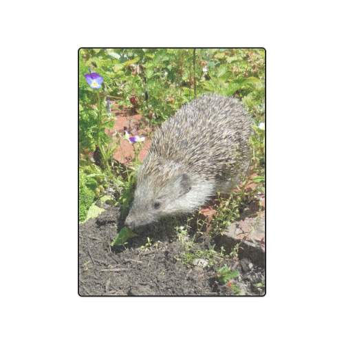 hedgehog- cute visit to the garden Blanket 50"x60"