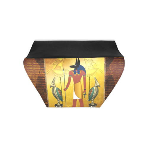 Anubis Clutch Bag (Model 1630)